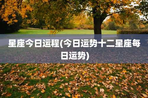 星座今日运程(今日运势十二星座每日运势)