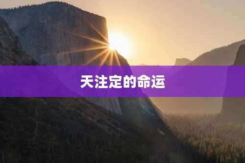 天注定的命运