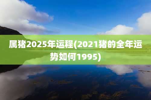 属猪2025年运程(2021猪的全年运势如何1995)