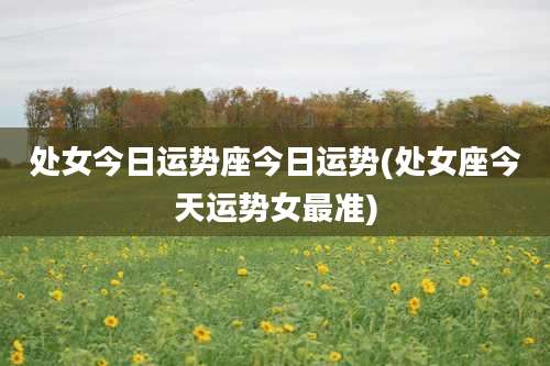 处女今日运势座今日运势(处女座今天运势女最准)