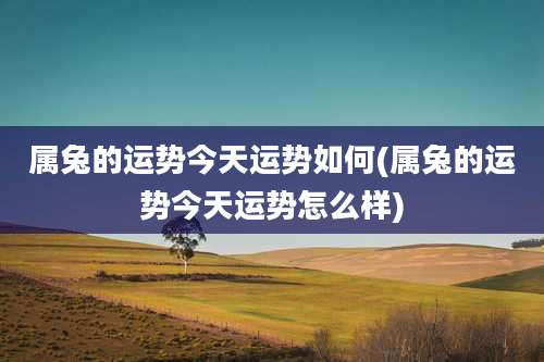 属兔的运势今天运势如何(属兔的运势今天运势怎么样)