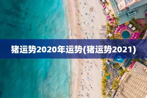 猪运势2020年运势(猪运势2021)