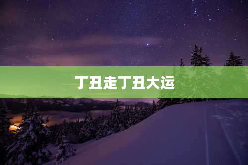 丁丑走丁丑大运