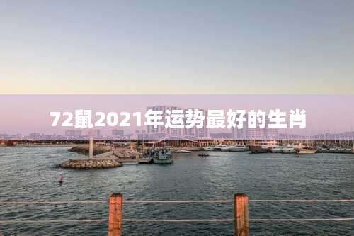 72鼠2021年运势最好的生肖