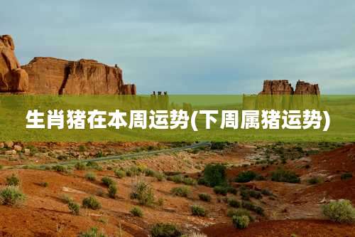 生肖猪在本周运势(下周属猪运势)