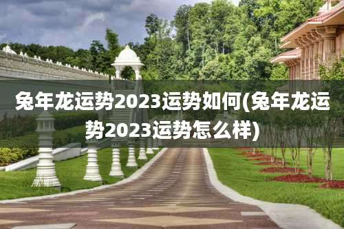 兔年龙运势2023运势如何(兔年龙运势2023运势怎么样)