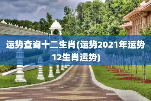 运势查询十二生肖(运势2021年运势12生肖运势)