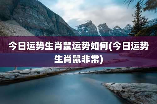 今日运势生肖鼠运势如何(今日运势生肖鼠非常)