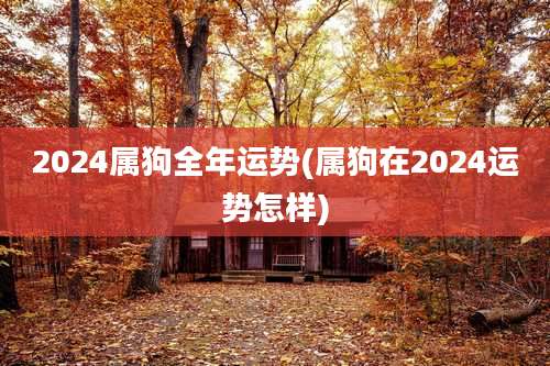 2024属狗全年运势(属狗在2024运势怎样)