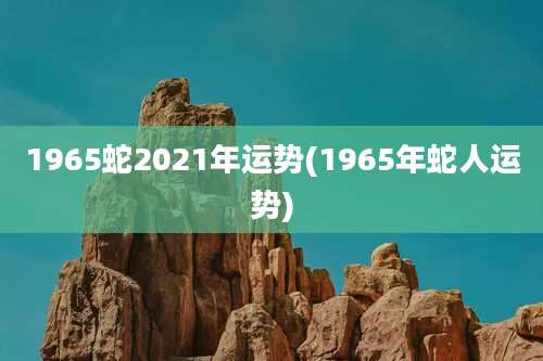1965蛇2021年运势(1965年蛇人运势)