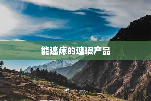 能遮痣的遮瑕产品