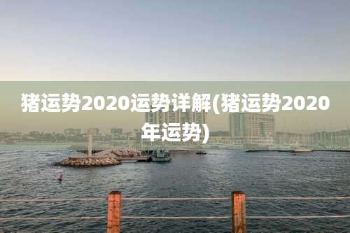 猪运势2020运势详解(猪运势2020年运势)