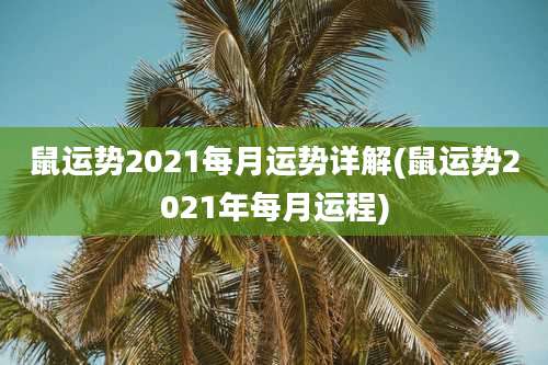 鼠运势2021每月运势详解(鼠运势2021年每月运程)