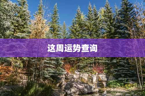 这周运势查询