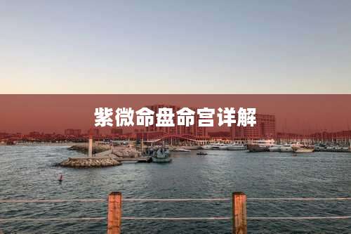 紫微命盘命宫详解