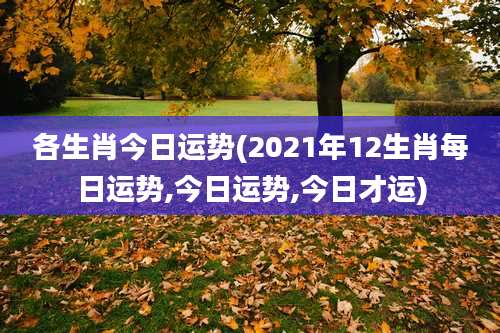 各生肖今日运势(2021年12生肖每日运势,今日运势,今日才运)