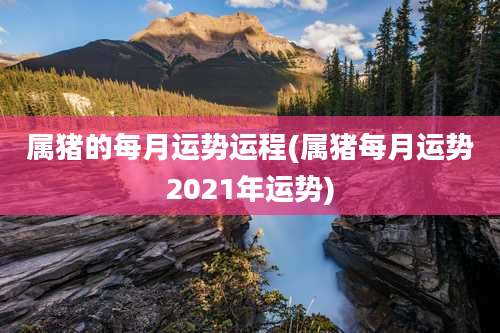 属猪的每月运势运程(属猪每月运势2021年运势)