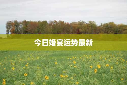 今日婚宴运势最新