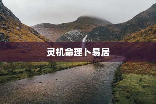 灵机命理卜易居