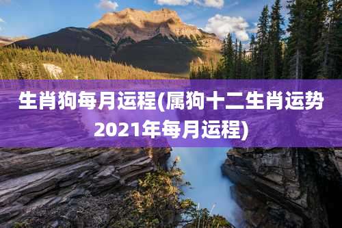 生肖狗每月运程(属狗十二生肖运势2021年每月运程)