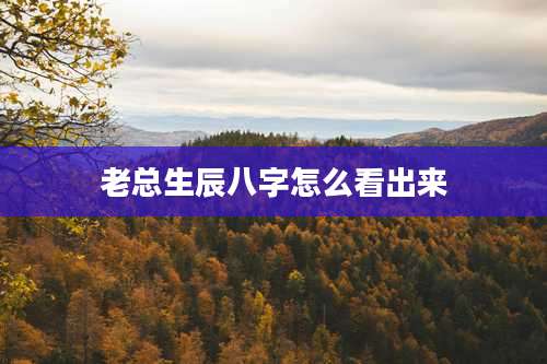 老总生辰八字怎么看出来
