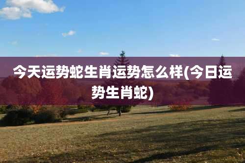 今天运势蛇生肖运势怎么样(今日运势生肖蛇)