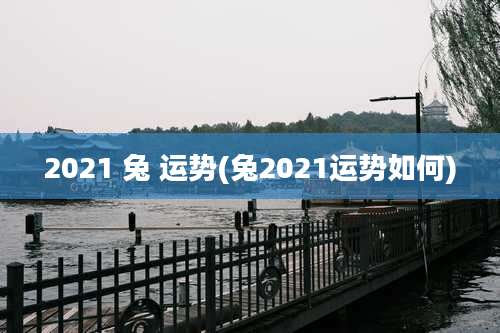 2021 兔 运势(兔2021运势如何)