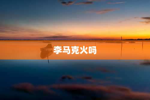 李马克火吗