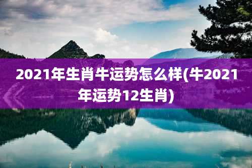 2021年生肖牛运势怎么样(牛2021年运势12生肖)