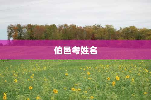 伯邑考姓名