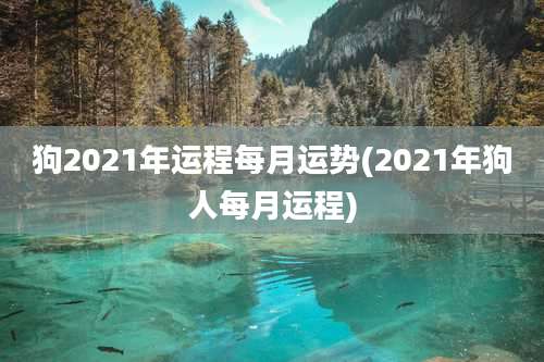 狗2021年运程每月运势(2021年狗人每月运程)