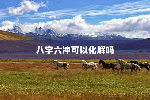 八字六冲可以化解吗