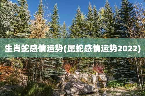 生肖蛇感情运势(属蛇感情运势2022)