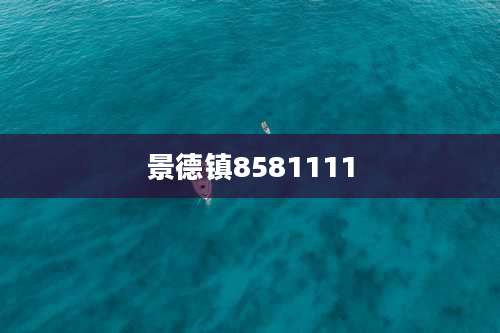景德镇8581111