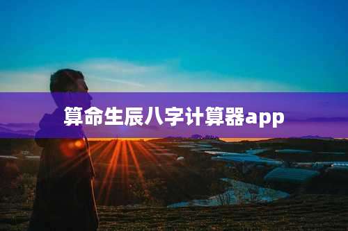 算命生辰八字计算器app