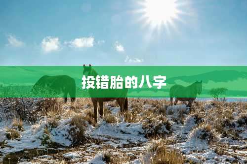 投错胎的八字