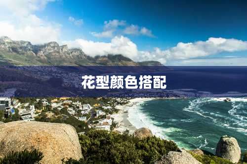 花型颜色搭配