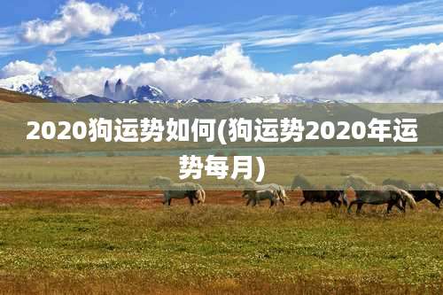 2020狗运势如何(狗运势2020年运势每月)