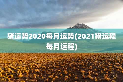 猪运势2020每月运势(2021猪运程每月运程)