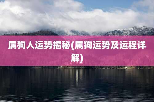 属狗人运势揭秘(属狗运势及运程详解)