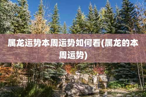 属龙运势本周运势如何看(属龙的本周运势)