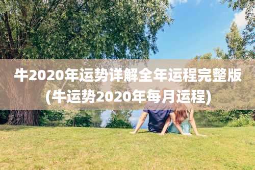 牛2020年运势详解全年运程完整版(牛运势2020年每月运程)