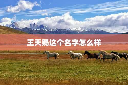 王天赐这个名字怎么样