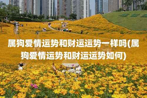 属狗爱情运势和财运运势一样吗(属狗爱情运势和财运运势如何)