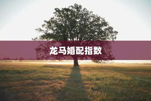 龙马婚配指数