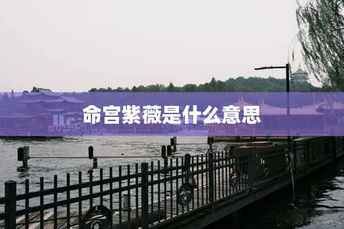 命宫紫薇是什么意思