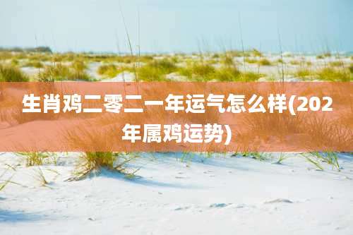 生肖鸡二零二一年运气怎么样(202年属鸡运势)