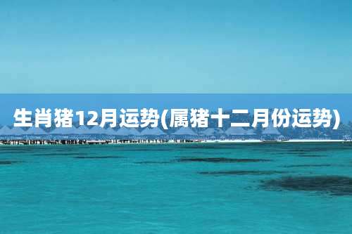 生肖猪12月运势(属猪十二月份运势)