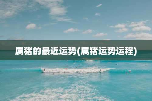 属猪的最近运势(属猪运势运程)