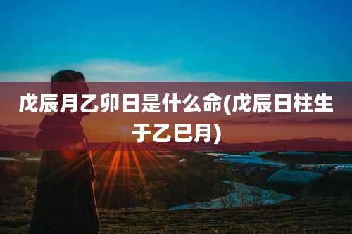 戊辰月乙卯日是什么命(戊辰日柱生于乙巳月)
